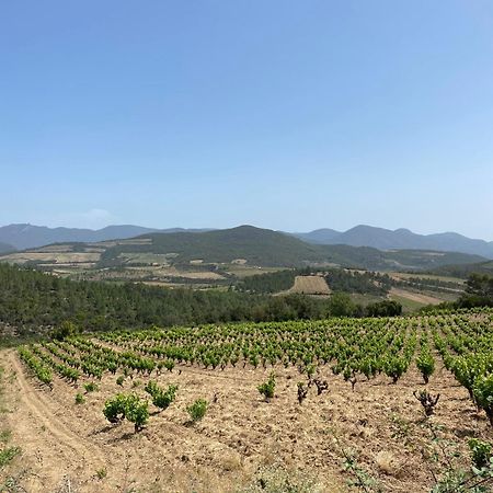 Le Moulin 2 - Appartement Arenes Romaines- Beziers Gare - Wifi- Tv Connecte 외부 사진