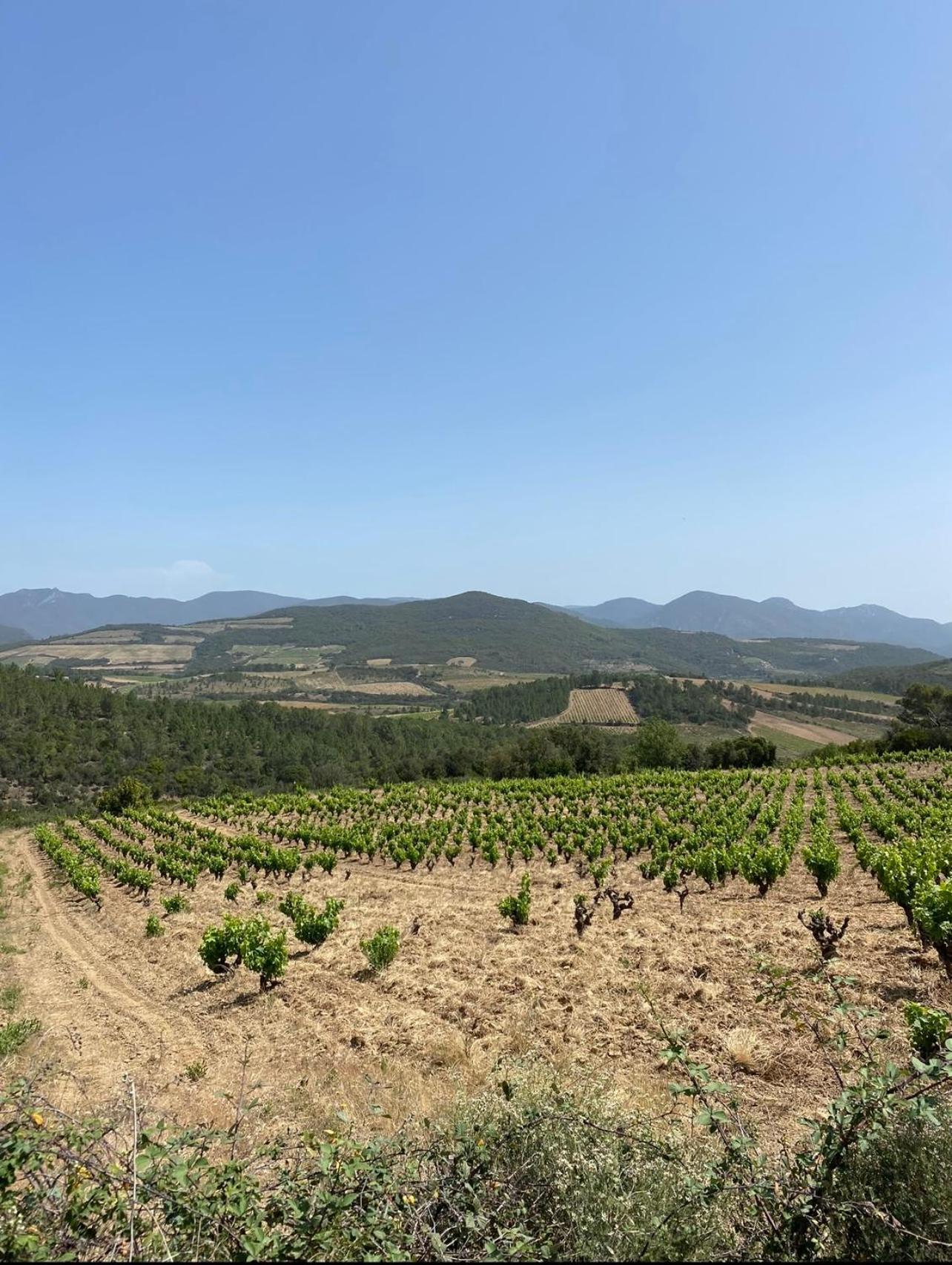 Le Moulin 2 - Appartement Arenes Romaines- Beziers Gare - Wifi- Tv Connecte 외부 사진